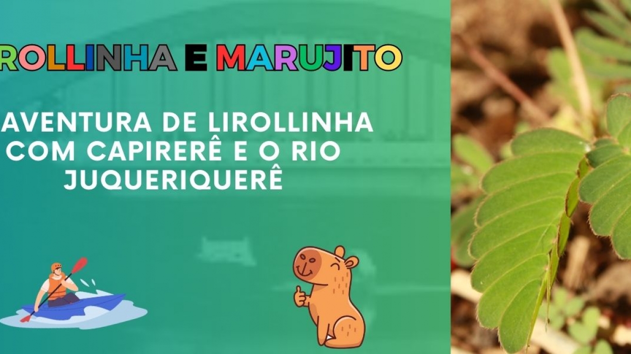 lirollinha e capirerê no rio Juqueriquerê