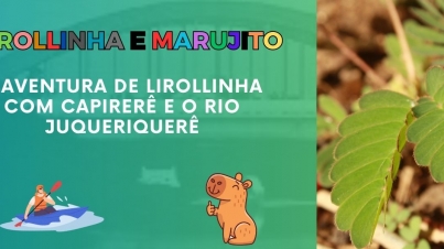 lirollinha e capirerê no rio Juqueriquerê