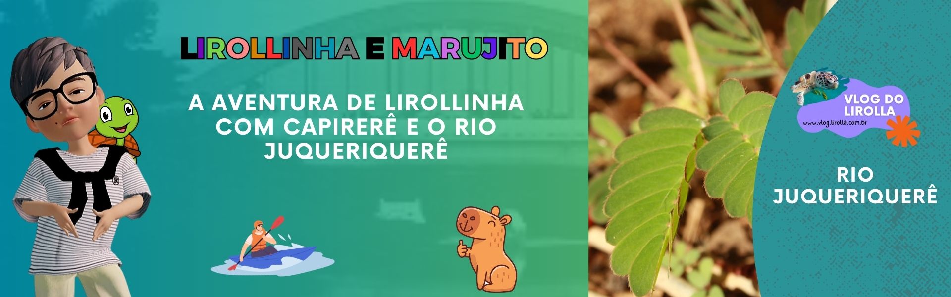 lirollinha e capirerê no rio Juqueriquerê