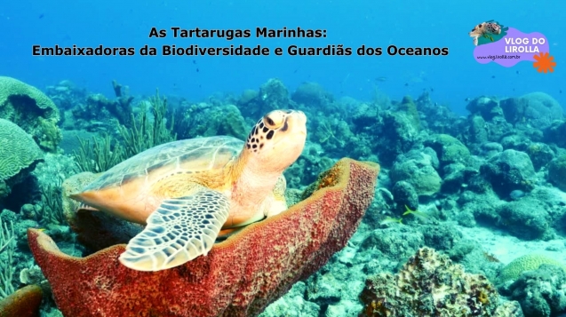As Tartarugas Marinhas Embaixadoras da Biodiversidade e Guardiãs dos Oceanos