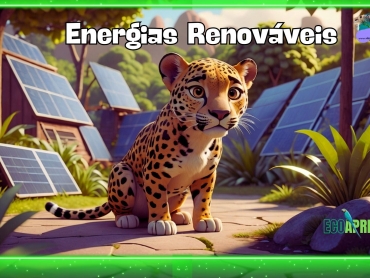 Projeto Ecoaprender - Pitadinha e as Energias Renovaveis